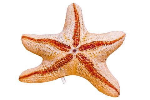 Gaby Polštář Hvězdice 55cm