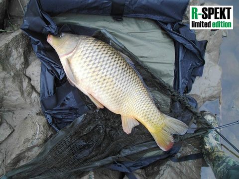 R-Spekt Podložka Compact Multi mat Standard