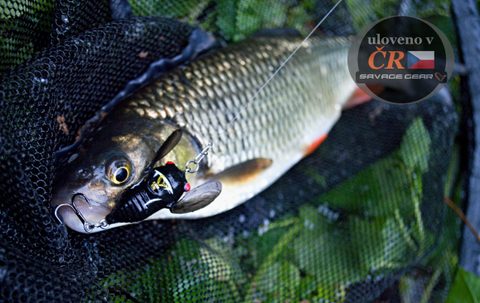 Savage Gear Nástraha 3D Cicada F Black