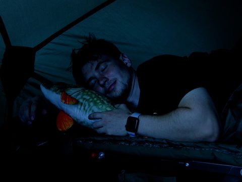 Delphin Plyšová šťuka Piky