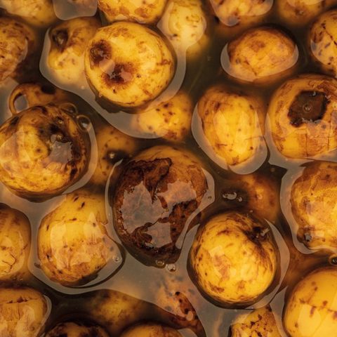 Nash Partikl Sweet Tiger Nuts