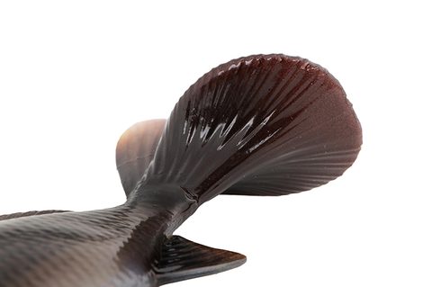 Fox Rage Gumová nástraha Ultra-Realistic Common Carp Replicant