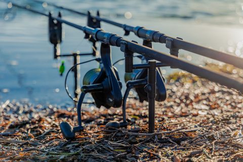 Fox Hrazda Black Label Slim Buzz Bars