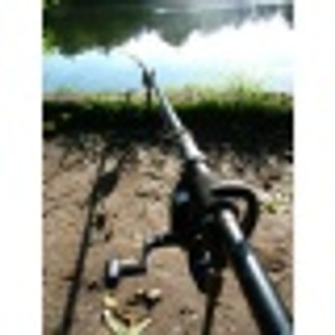 Gardner Rohatinka G-Force Head