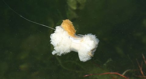 Nash Závěs na chleba Bread Bomb 3ks