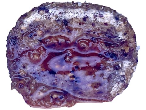 LK Baits Pet Pamlsek Nutrigo Dog Zvěřina s rybí omáčkou