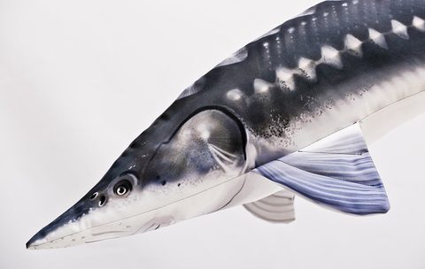 Gaby Polštář Jeseter 120cm