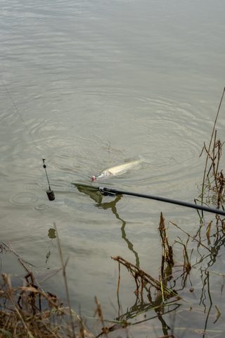 Korum Podběráková tyč Limitless Power Handle 3m Tele