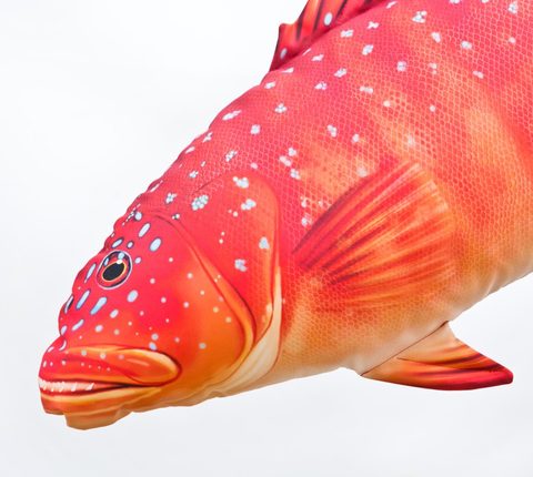 Gaby Vankúš Zubáč škvrnitý 81 cm