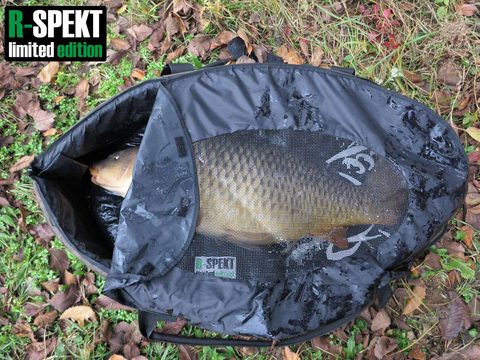 R-Spekt Podložka Safety Pool mat Standard