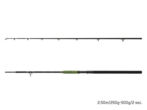 Delphin Prut Energy Catfish 2,5m 250-500g