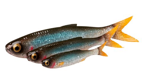 Savage Gear Gumová nástraha Craft Dying Minnow Roach 5ks