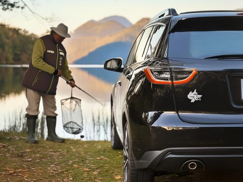 Delphin 3D nálepka Pike