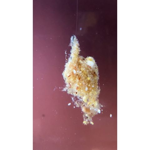 Šon Chung Šonův Sopel revoluční nástraha 85g vysoká dóza