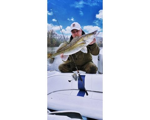 Zfish Šiltovka Z Grey Cap