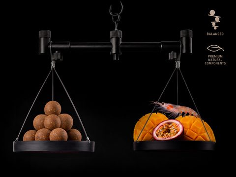 Delphin Vyvážené boilies BreaX/PassionKRILL Krill-Mango 100g