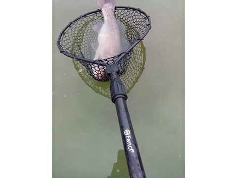 Fencl Podběráková hlava King L silikonová síť