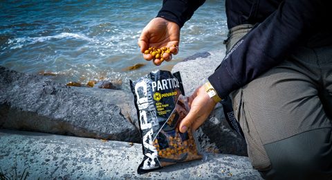 Mivardi Tygří ořech