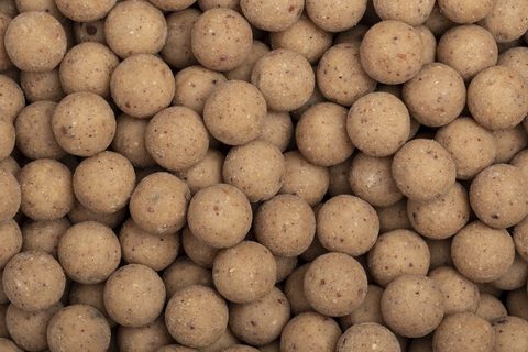 Nash Boilies Citruz