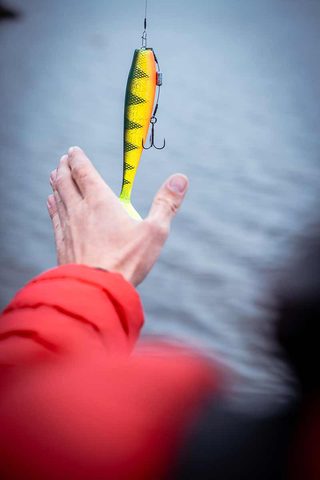 Fox Rage Gumová nástraha Zander Pro Shad Loaded UV Natural Perch