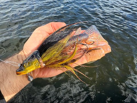 Fox Rage Nástraha Buck Pike Burbot