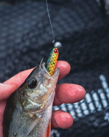 Fox Rage Gumová Nástraha Mini Tiddler Mixed Colour Pack Loaded 8cm 4ks