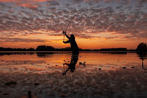 Nash Prút X Series Rod X300 10ft 3lb