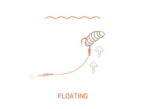 Delphin Umělá nástraha MaggoX Pop Up