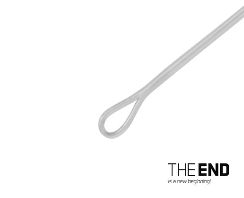 Delphin Náväzec The End FLRcarbon Leader 1ks