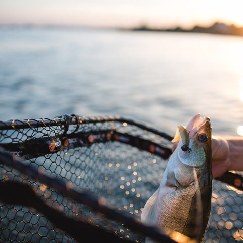 Zeck Podběrák Folding Rubber Tele Net