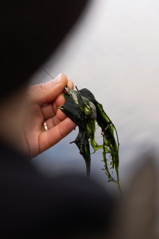 Korda Záťaže Grapple Lead