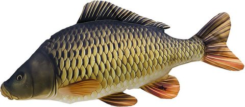 Gaby Vankúš Kapor Giant šupináč 100cm