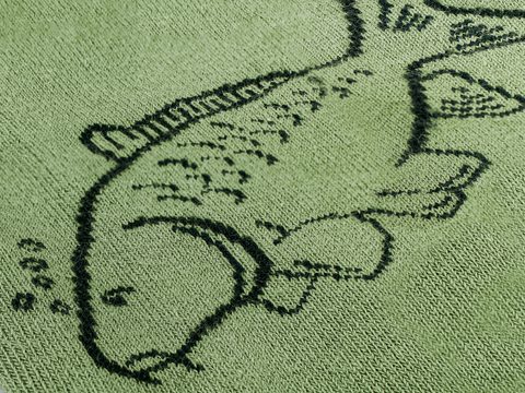 Delphin Ponožky Carp