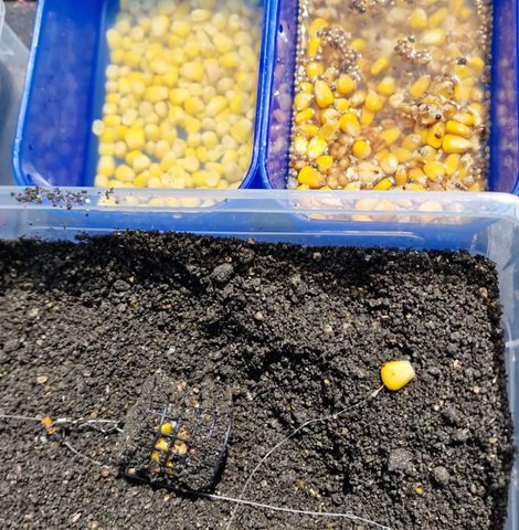 Chytil Partikl Mix 4