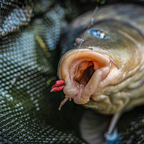 Korum Háčky Supersteel Allrounder Hooks Barbed 10ks