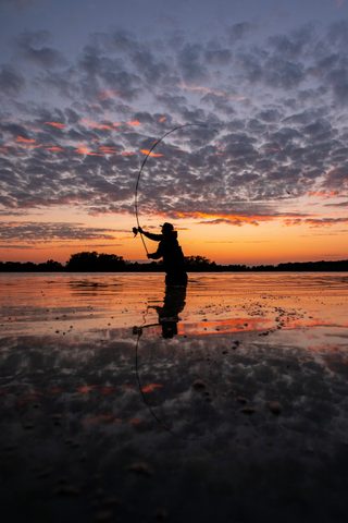 Nash Prút X Series Rod X300 10ft 3lb