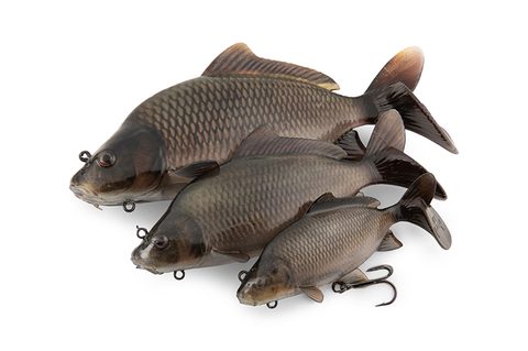 Fox Rage Gumová nástraha Ultra-Realistic Common Carp Replicant