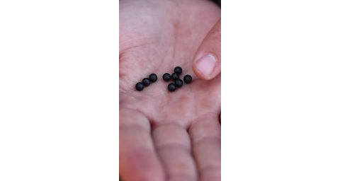 Carp´R´Us Gumové koráliky Rubber Beads 6mm 10ks