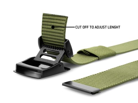 Delphin Opasek OutLine