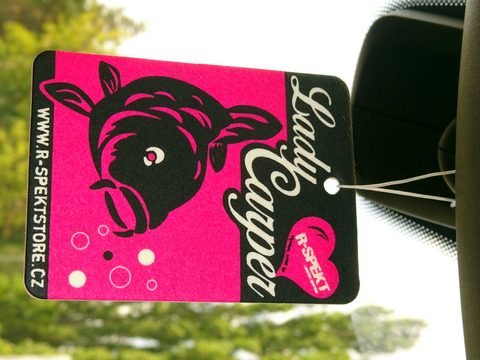 R-Spekt Voňavka do auta Aromatická Lady Carper