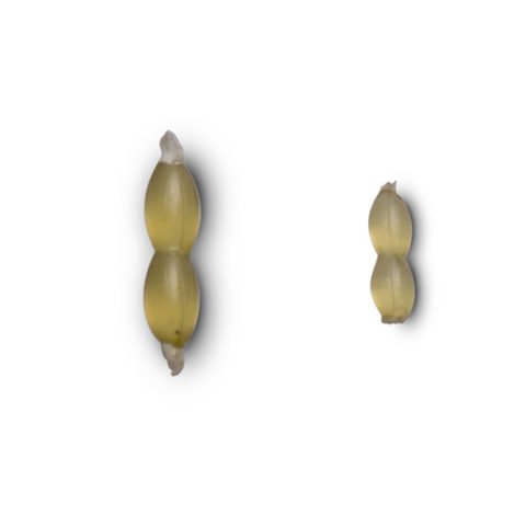 Nash Zarážky Hair Stops