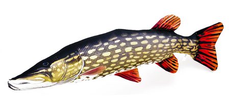 Gaby Polštář Štika monster 200 cm