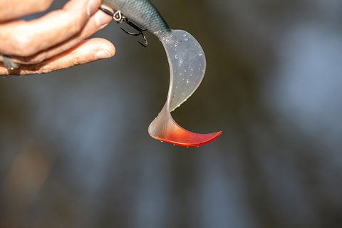Fox Rage Gumená nástraha Pro Grub Ultra Natural Roach