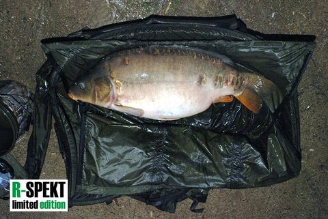 R-Spekt Taška s pevnými ramenami na váženie rýb Standard
