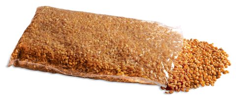 Chytil Vařená pšenice