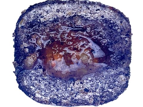 LK Baits Pet Pamlsek Nutrigo Dog Jehněčí se zeleninovou omáčkou