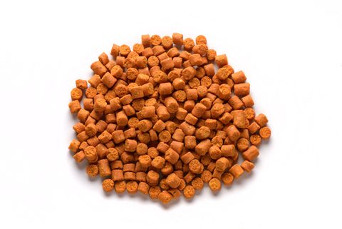 Mivardi Pelety Rapid Easy Catch Mango