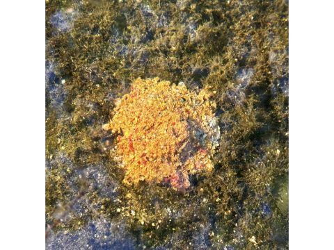 Chytil Krmítková směs Carp Mix 800g