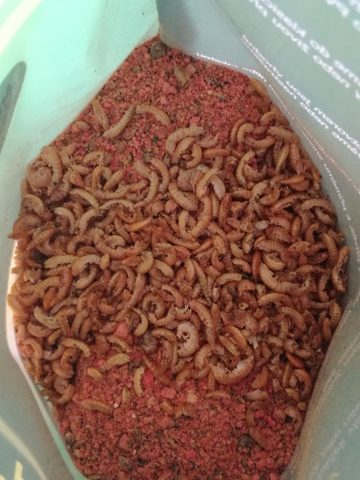 Chyť a pusť Method mix 1kg