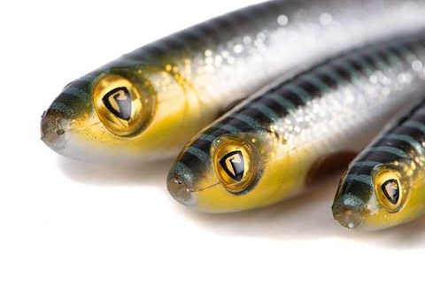 Fox Rage Gumová Nástraha Slick Shad Silver Halo